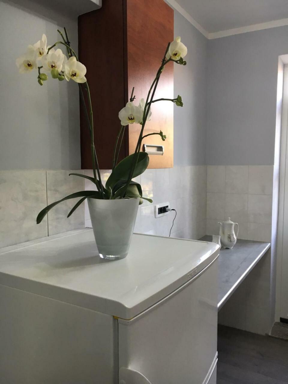 Apartment Kumicic - 3 Bedrooms Ičići المظهر الخارجي الصورة